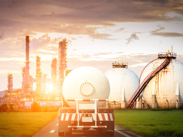 麻w豆传媒剧国产入口