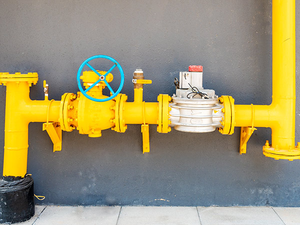 麻w豆传媒剧国产入口