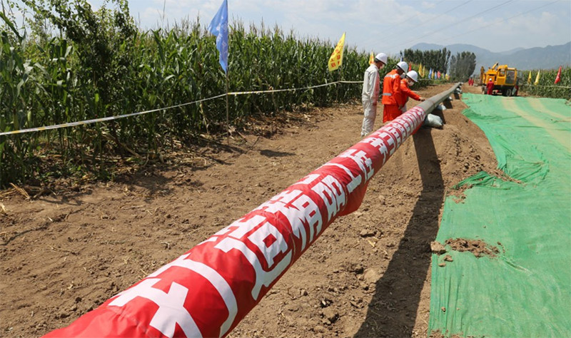 麻w豆传媒剧国产入口