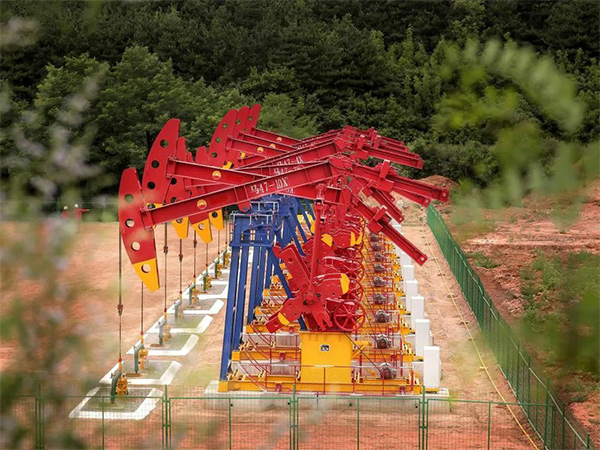 麻w豆传媒剧国产入口