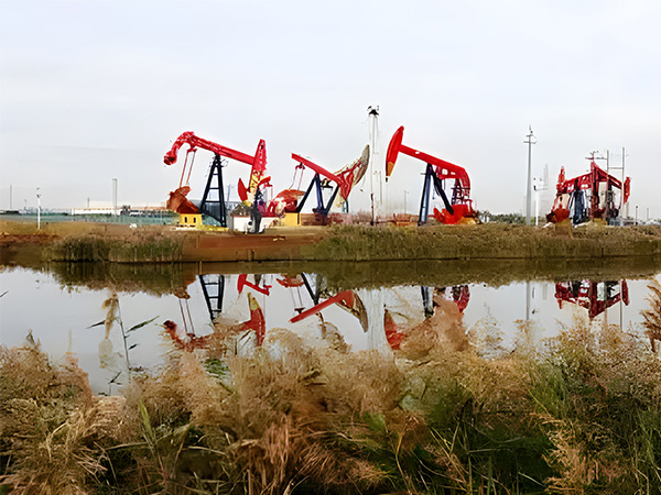 麻w豆传媒剧国产入口